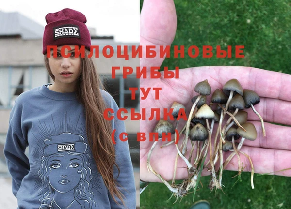 MDMA Абинск