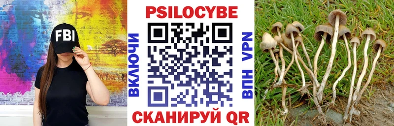 Псилоцибиновые грибы Psilocybe  Гагарин 
